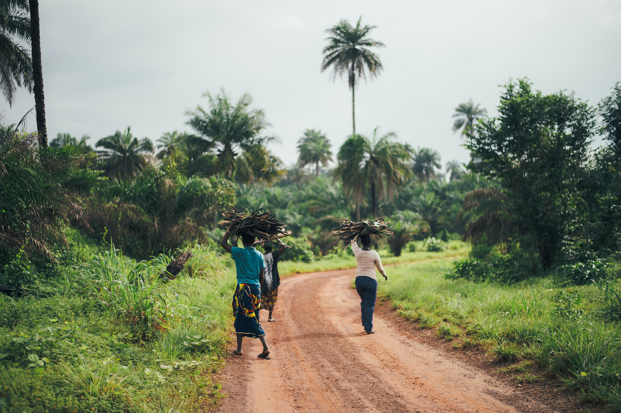 Sierra_leone_low