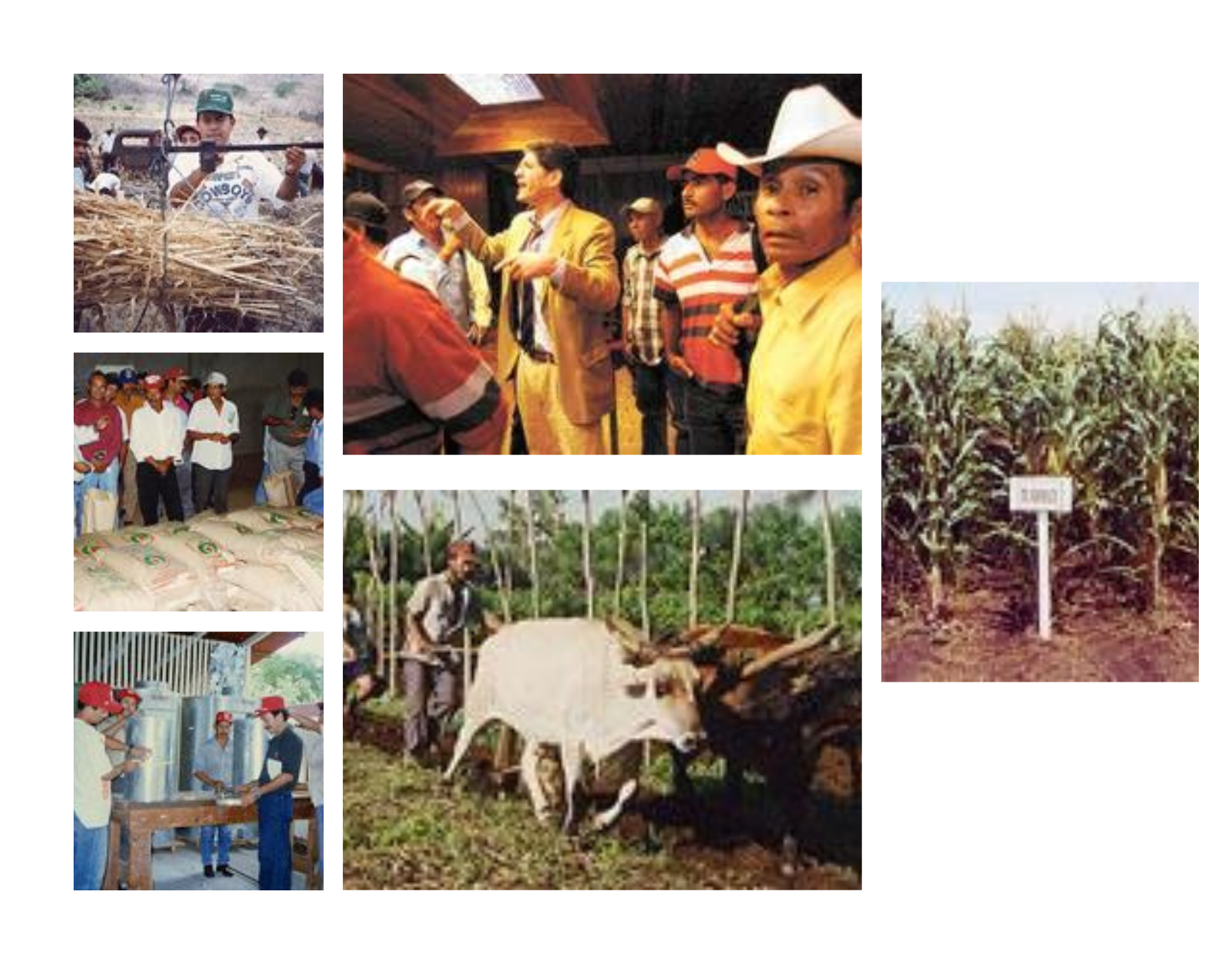 A group of 6 images showing farms and farmers in Nicaragua
