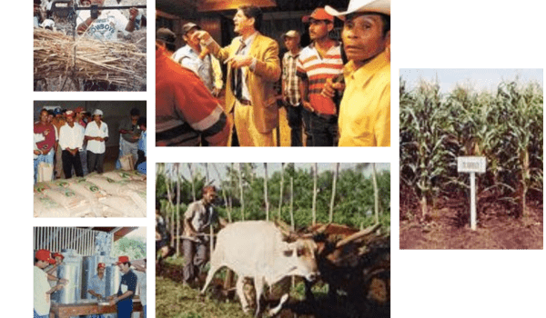 A group of 6 images showing farms and farmers in Nicaragua